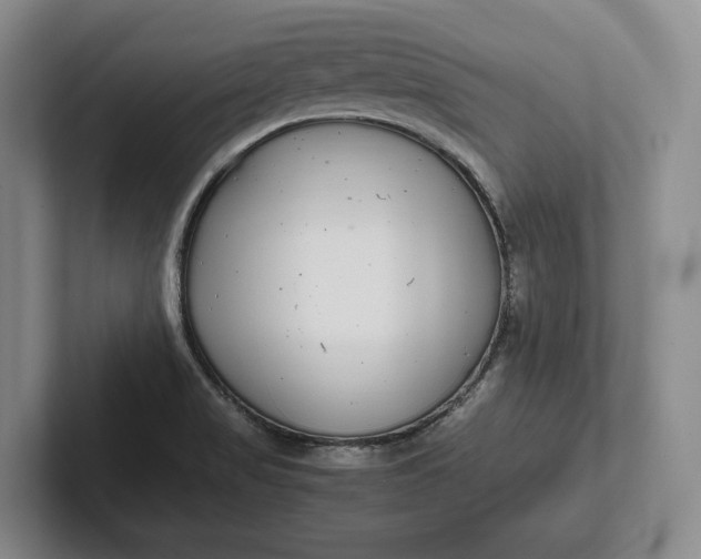 X0000102271517200808081430