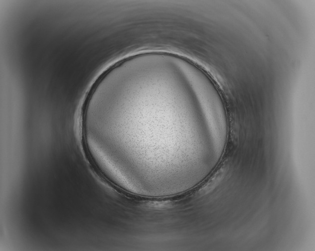 X0000102271519200808081430