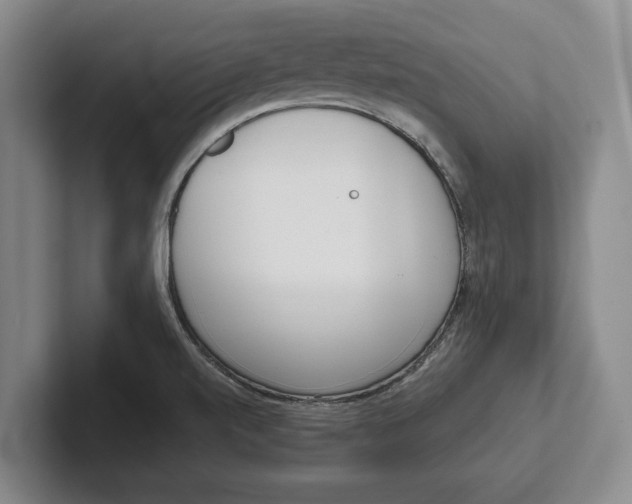 X0000102271520200808081430