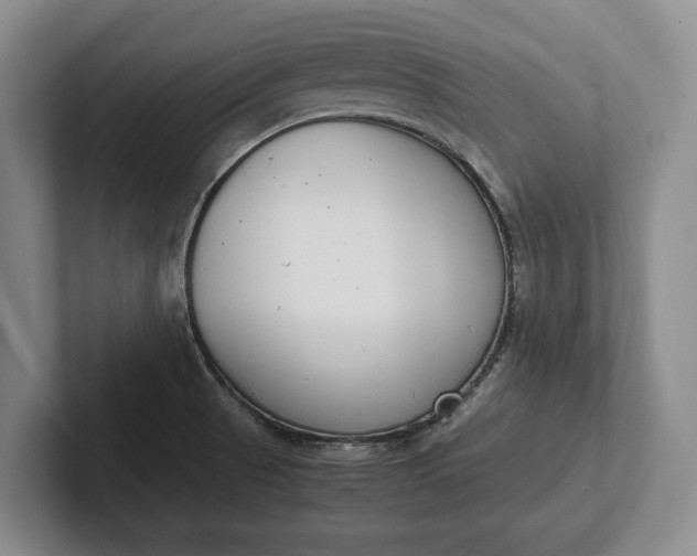 X0000102271521200808081430