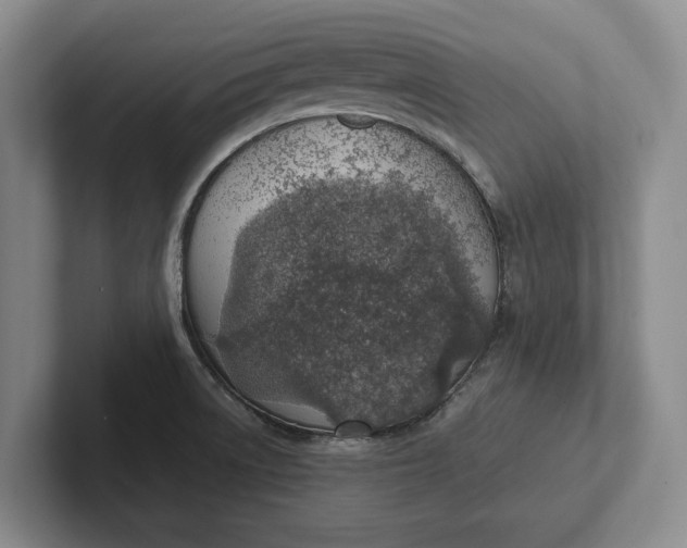X0000102271522200808081430