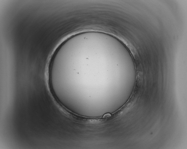X0000102271523200808081430