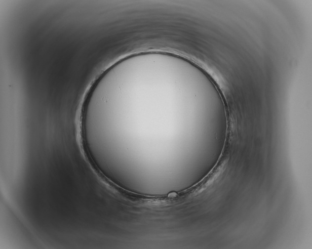 X0000102271525200808081430
