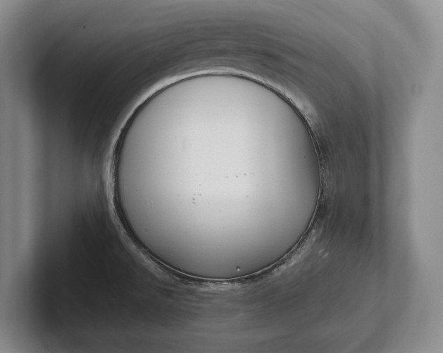 X0000102271526200808081430