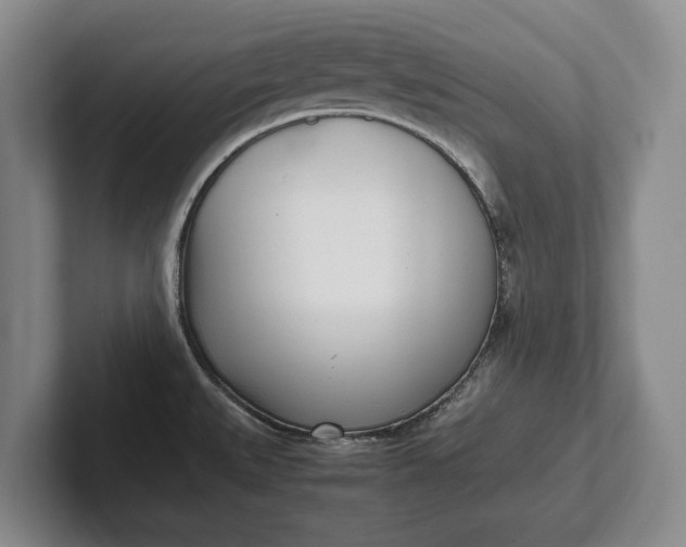 X0000102271527200808081430