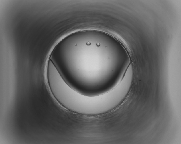X0000102271528200808081430