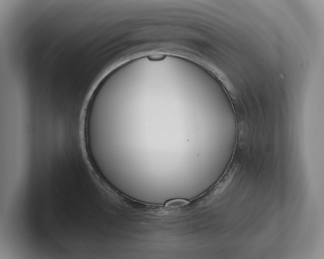 X0000102271530200808081430