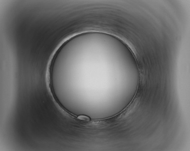 X0000102271531200808081430