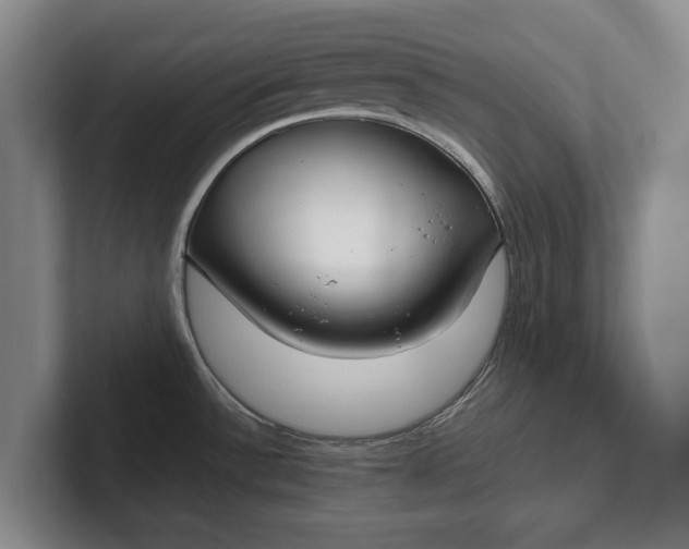 X0000102271532200808081430