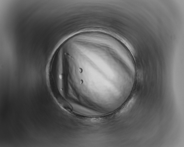 X0000102271533200808081430