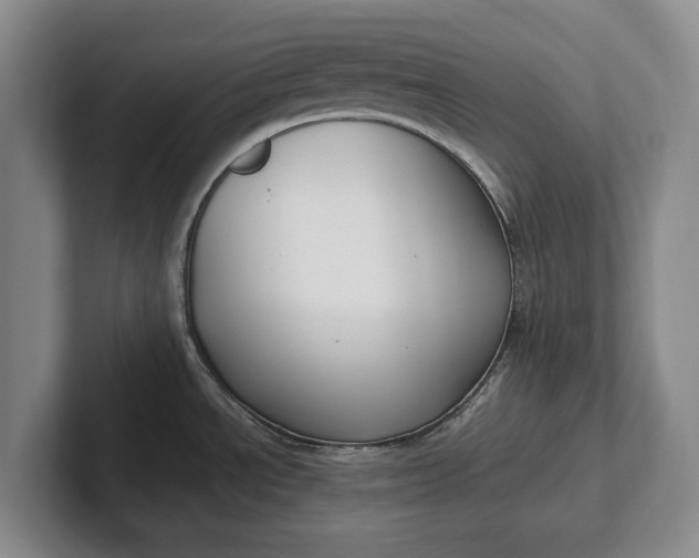 X0000102271534200808081430