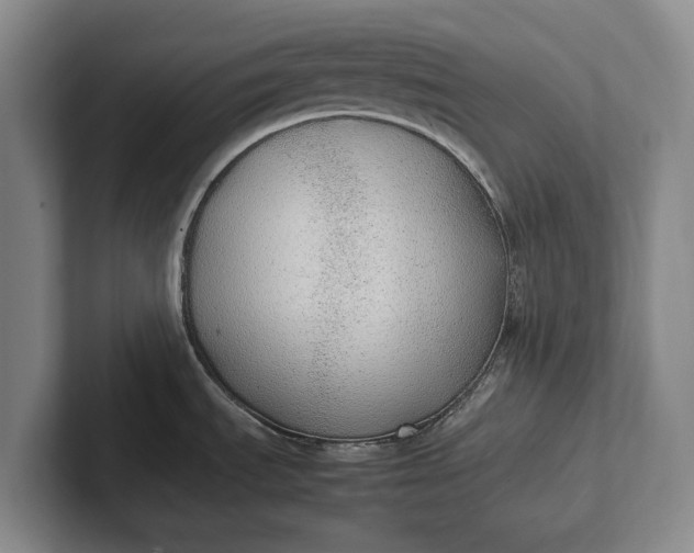 X0000102271535200808081430