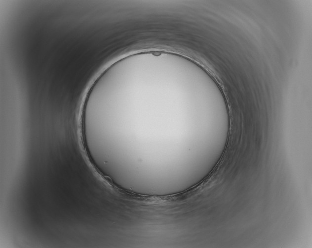 X0000102271536200808081430