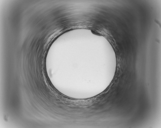 X0000102270001200808151915