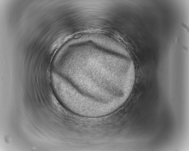 X0000102270002200808151915