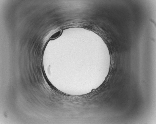 X0000102270003200808151915