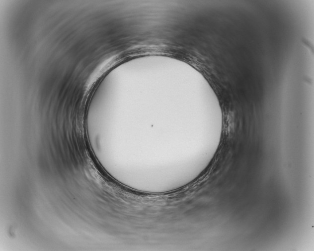 X0000102270004200808151915