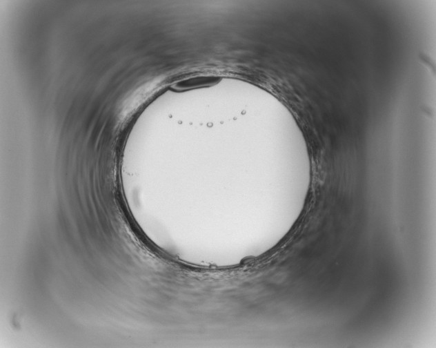 X0000102270005200808151915