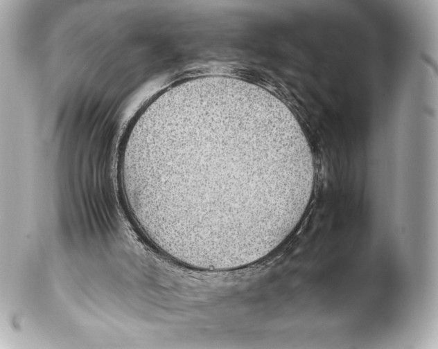 X0000102270006200808151915