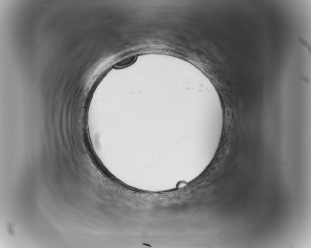 X0000102270007200808151915