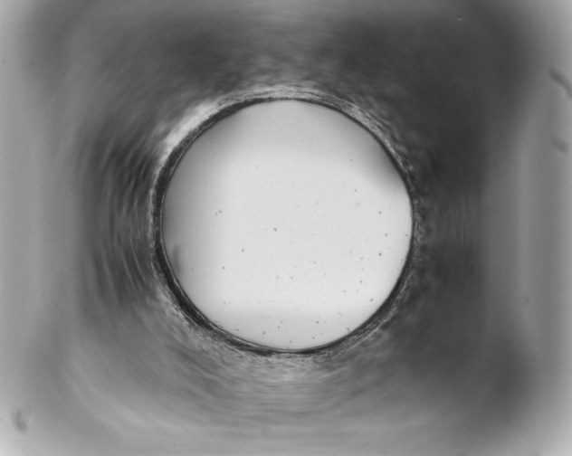 X0000102270008200808151915