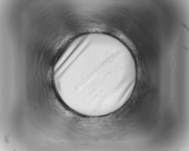 X0000102270009200808151915