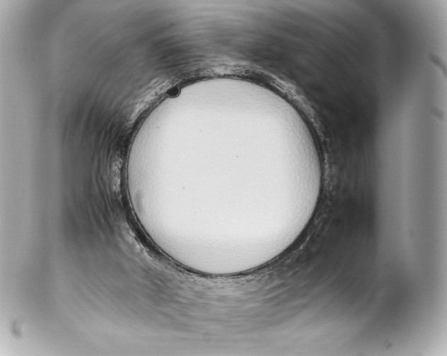 X0000102270010200808151915