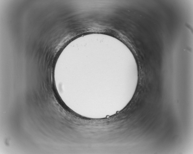 X0000102270011200808151915