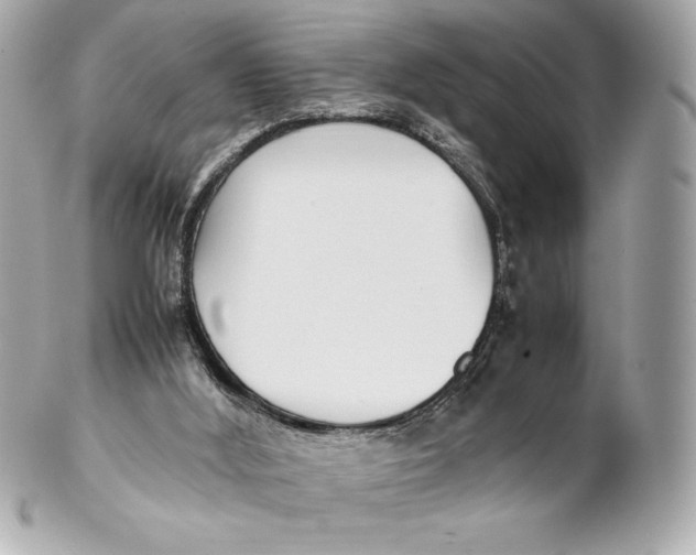 X0000102270012200808151915