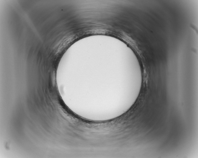 X0000102270013200808151915