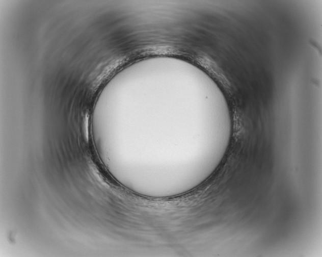 X0000102270014200808151915