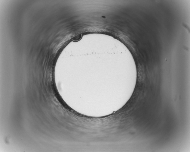 X0000102270015200808151915