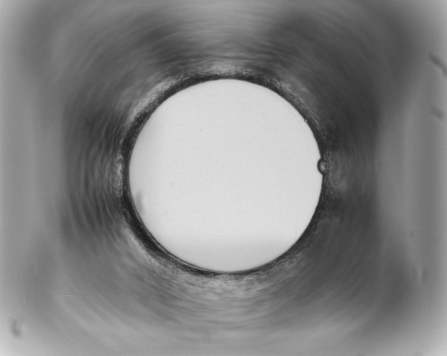 X0000102270016200808151915