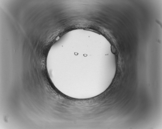 X0000102270017200808151915