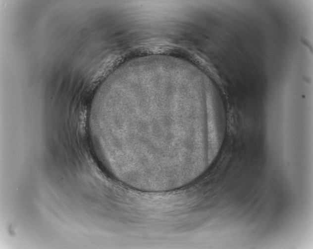 X0000102270018200808151915