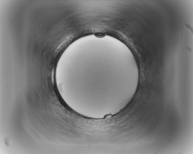 X0000102270019200808151915