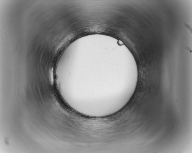 X0000102270020200808151915