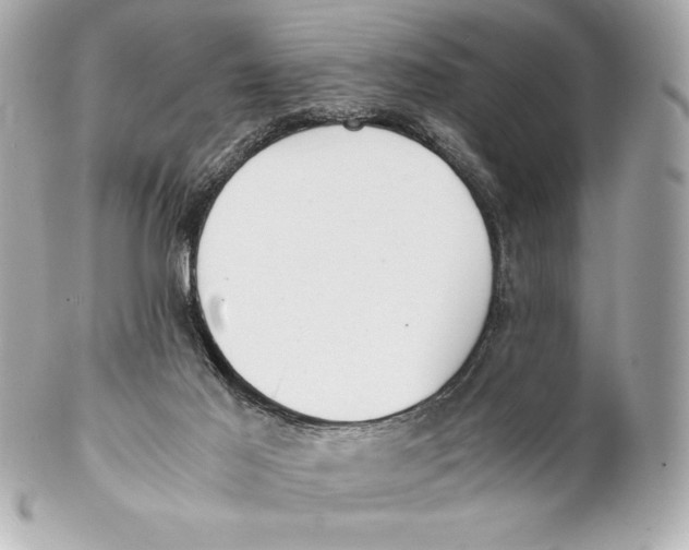 X0000102270021200808151915
