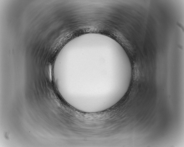 X0000102270022200808151915