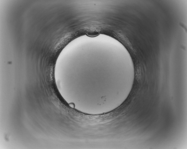 X0000102270023200808151915