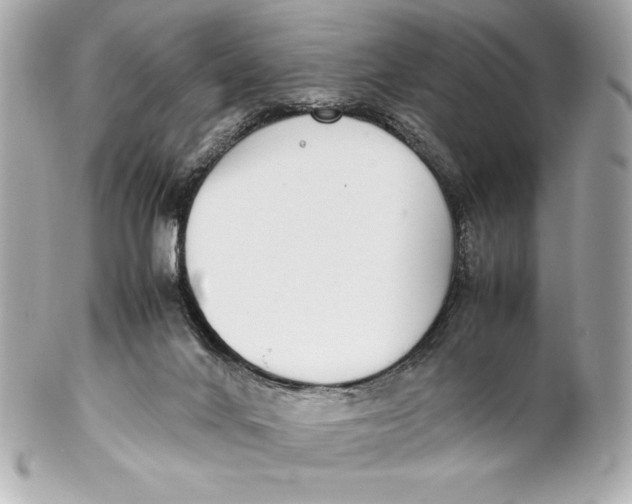 X0000102270024200808151915