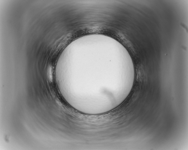 X0000102270026200808151915