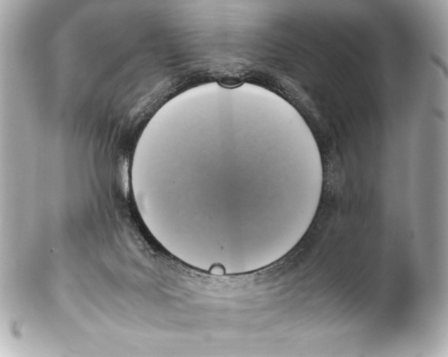 X0000102270027200808151915