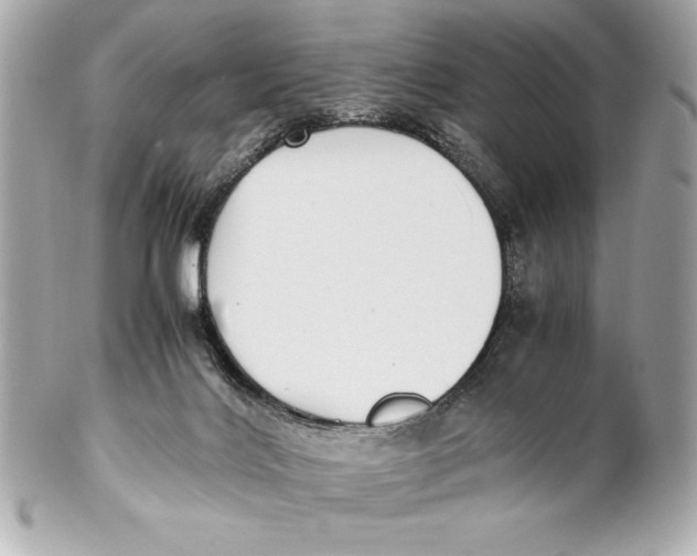 X0000102270028200808151915