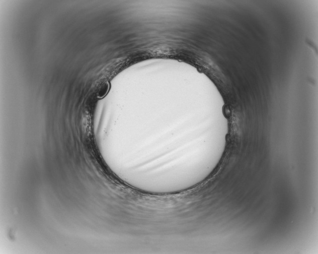X0000102270029200808151915
