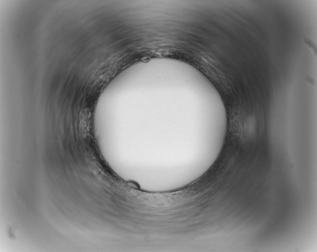 X0000102270030200808151915