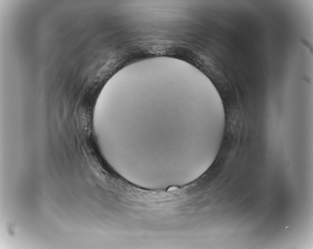 X0000102270031200808151915