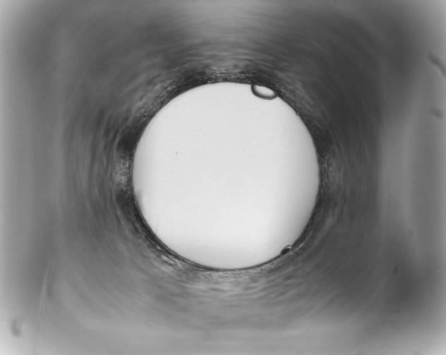 X0000102270033200808151915