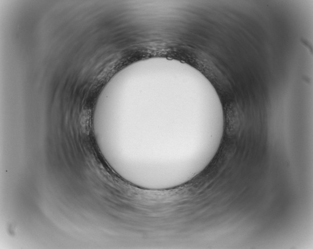 X0000102270034200808151915