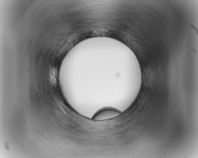 X0000102270038200808151914